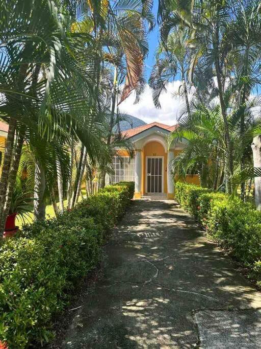 Villa De Ali In Palma Real La Ceiba Eksteriør bilde